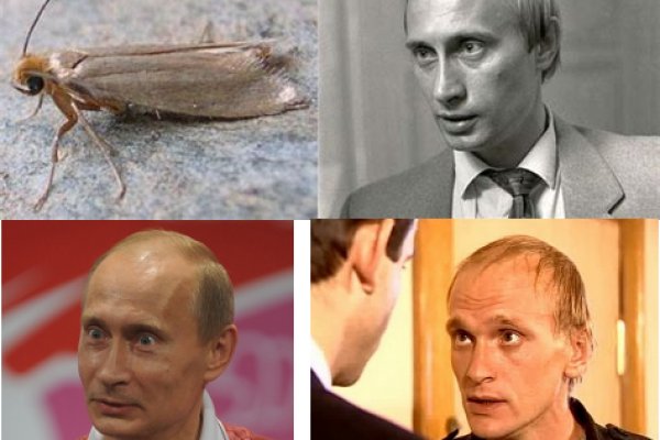 Кракен актуальное зеркало