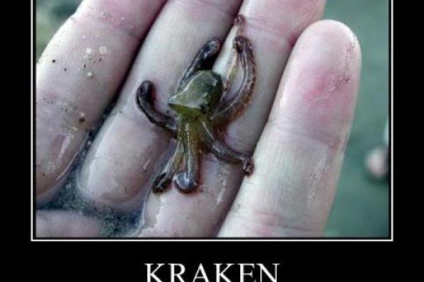 Kraken 24 top